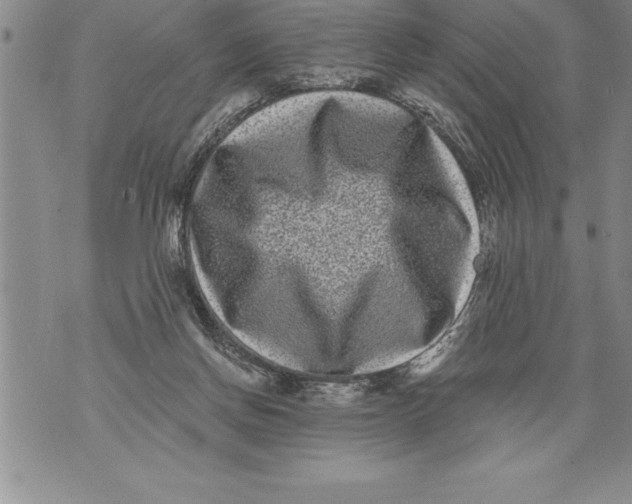 X0000076100166200610152352