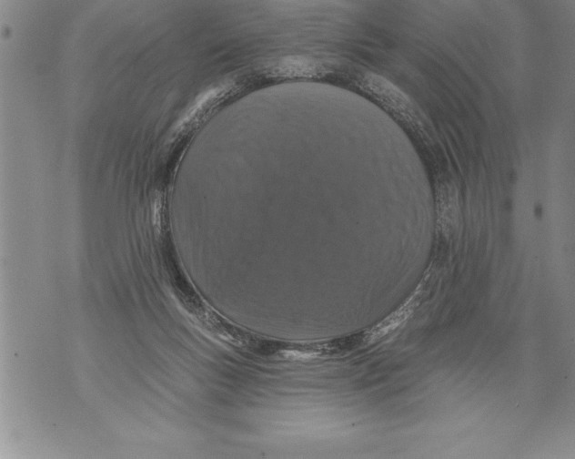 X0000076100167200610152352