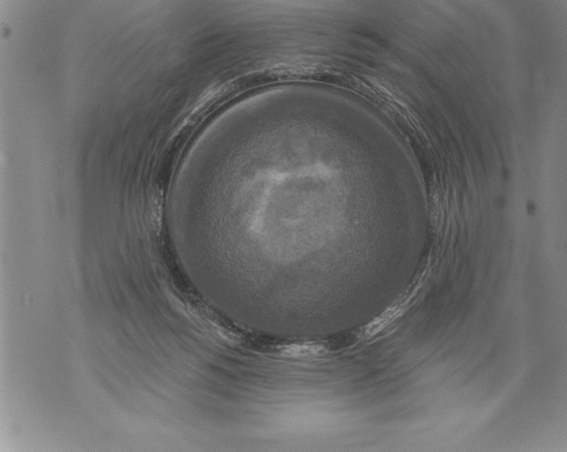 X0000076100168200610152352