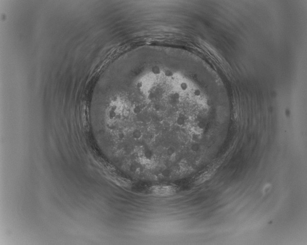 X0000076100169200610152352