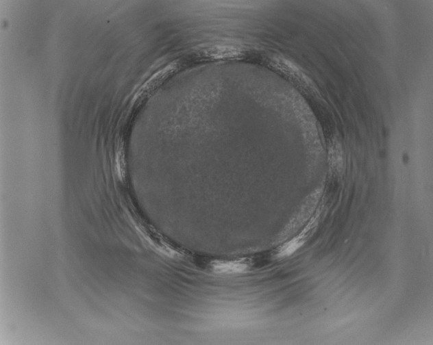 X0000076100170200610152352