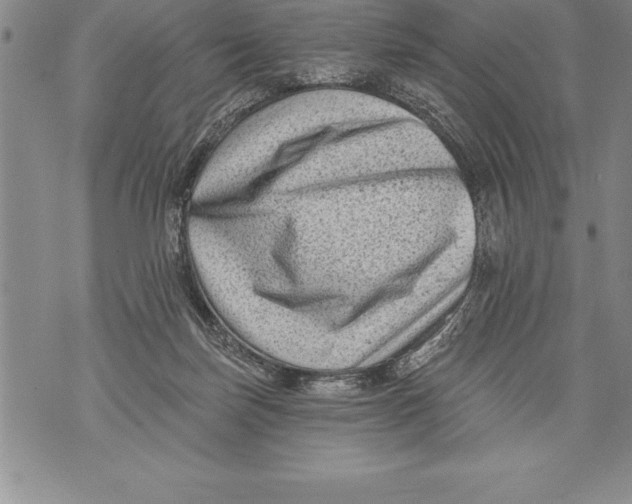 X0000076100171200610152352