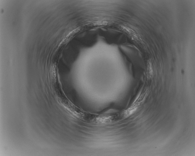 X0000076100172200610152352