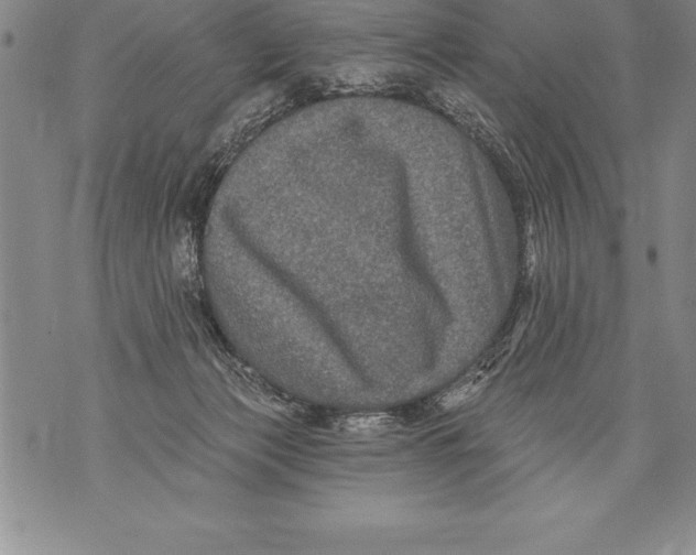 X0000076100173200610152352