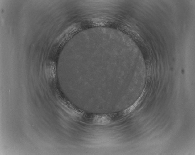 X0000076100174200610152352