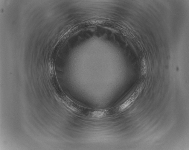 X0000076100176200610152352