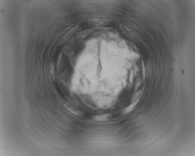 X0000076100178200610152352