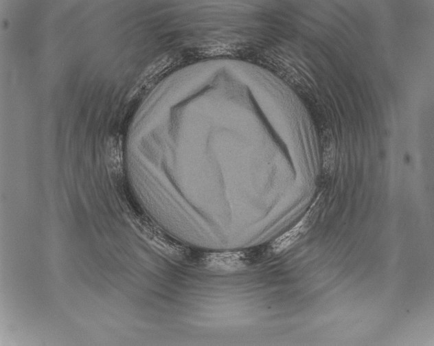 X0000076100179200610152352