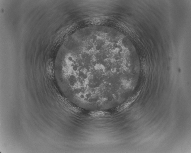 X0000076100181200610152352