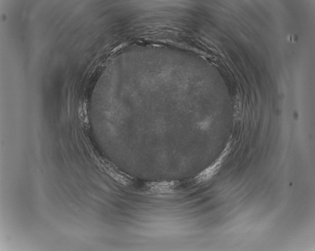 X0000076100182200610152352