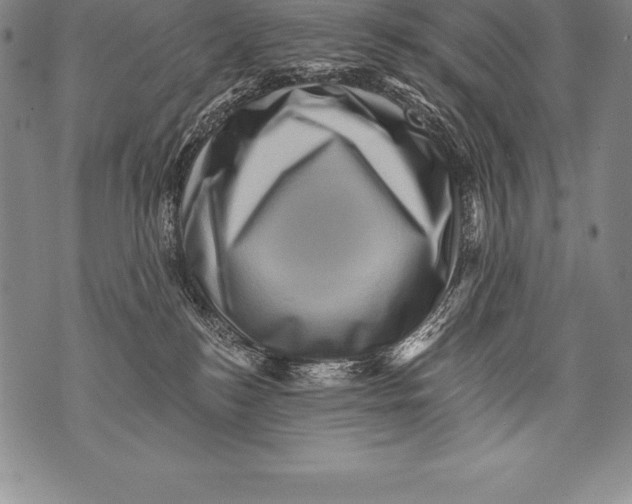 X0000076100184200610152352