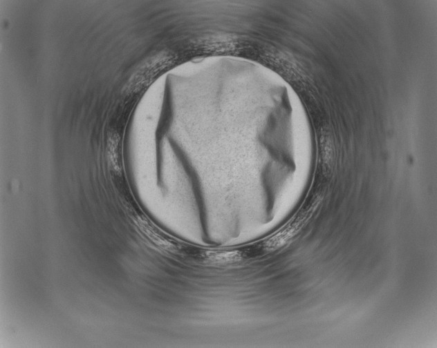 X0000076100185200610152352