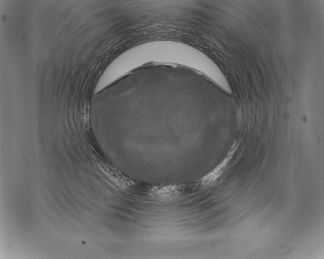 X0000076100186200610152352