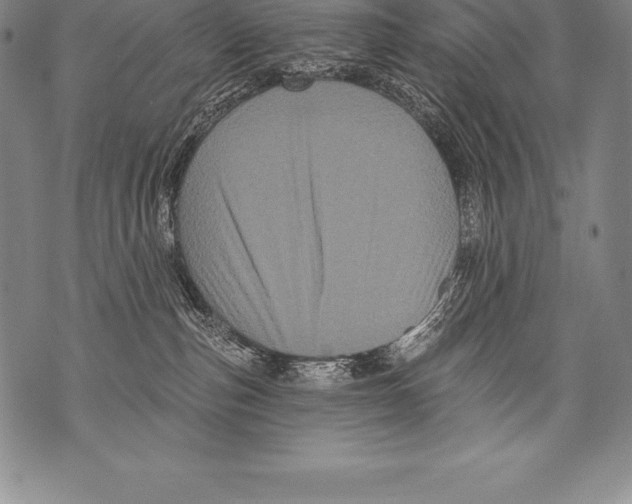 X0000076100187200610152352