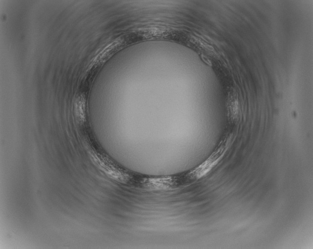 X0000076100188200610152352