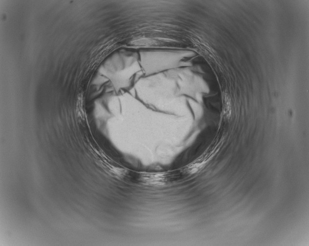 X0000076100189200610152352