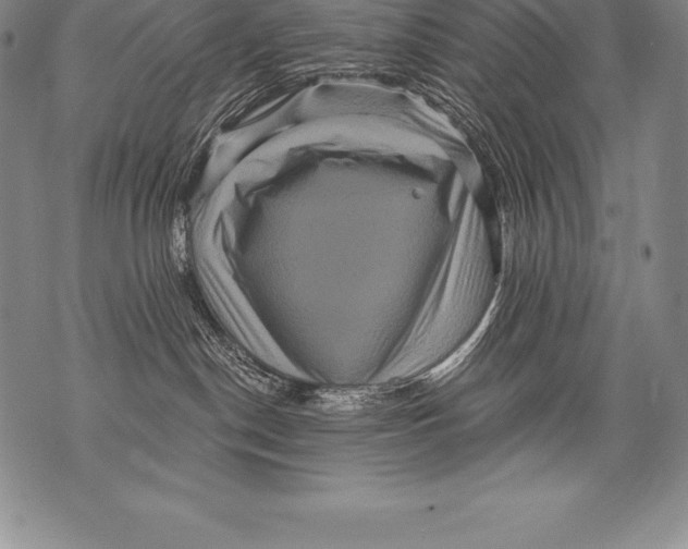 X0000076100190200610152353