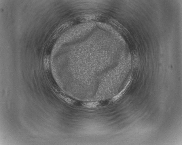 X0000076100191200610152353