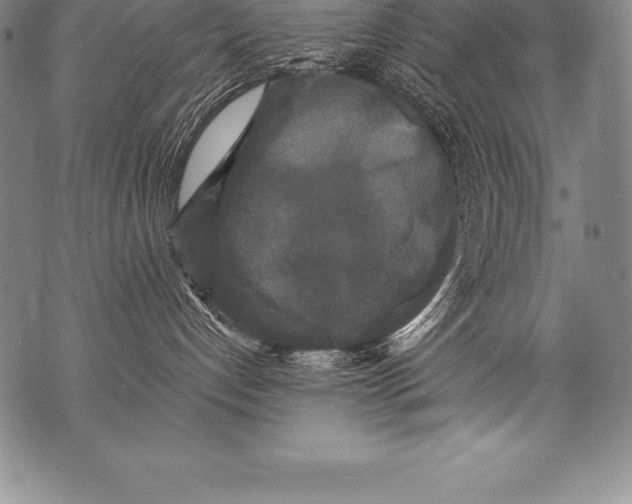 X0000076100192200610152353