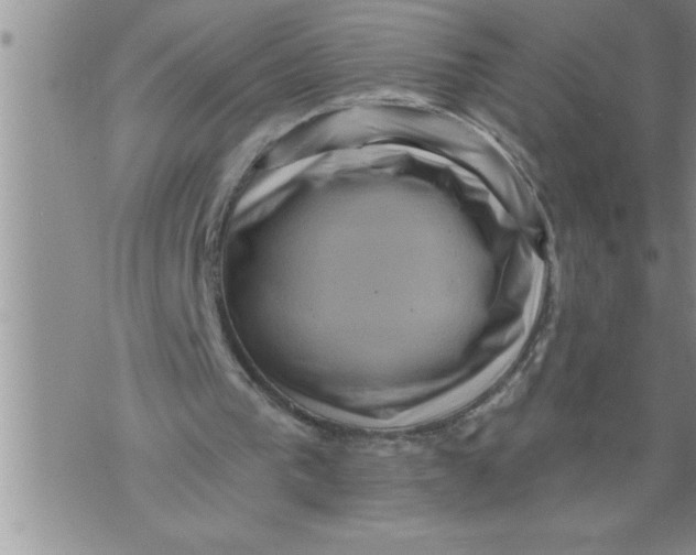 X0000076100193200610152352