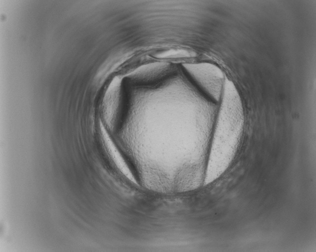 X0000076100194200610152352