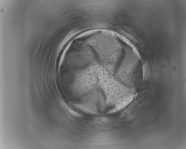 X0000076100195200610152352