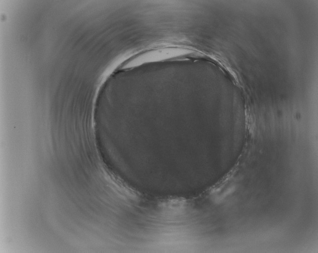 X0000076100196200610152352