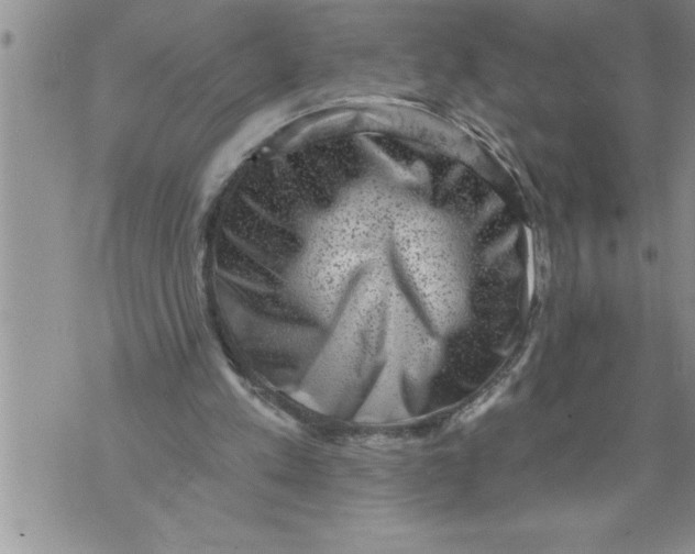 X0000076100197200610152352