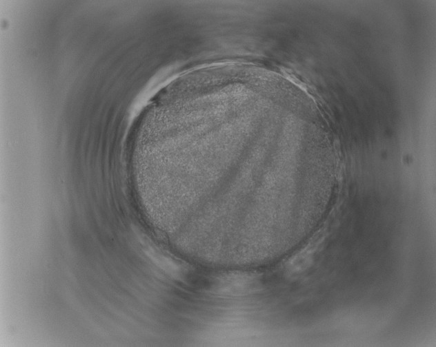 X0000076100198200610152352