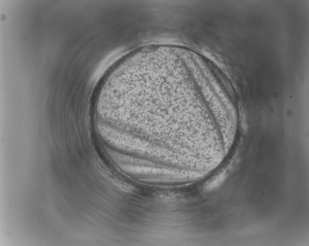 X0000076100199200610152352