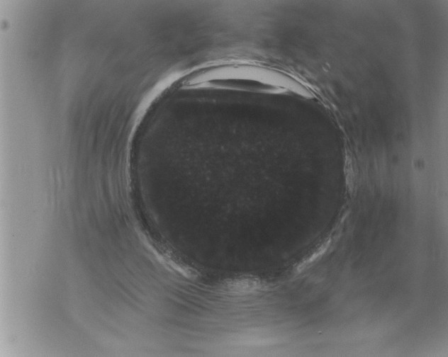 X0000076100200200610152352