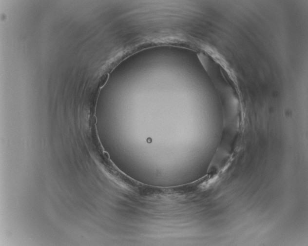 X0000076100201200610152352