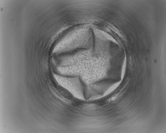 X0000076100203200610152352