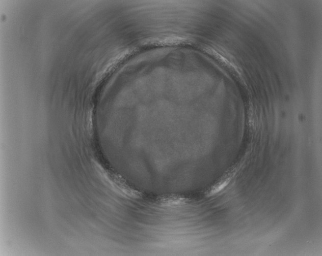 X0000076100206200610152352