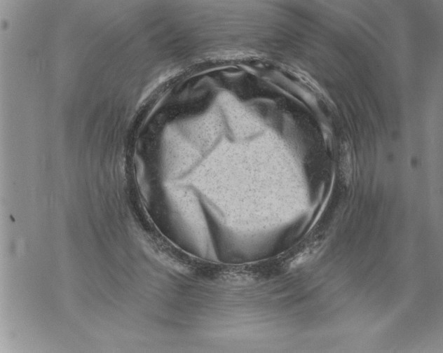 X0000076100207200610152352