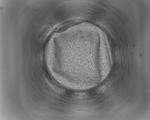 X0000076100208200610152352