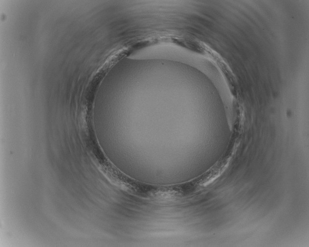 X0000076100209200610152352