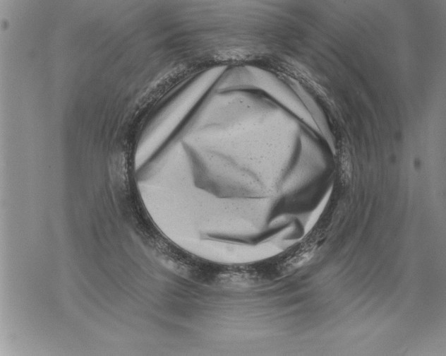 X0000076100211200610152351