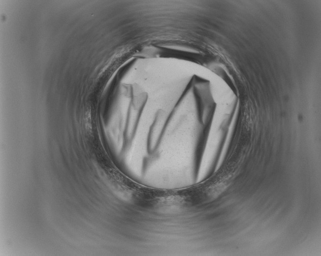 X0000076100212200610152351