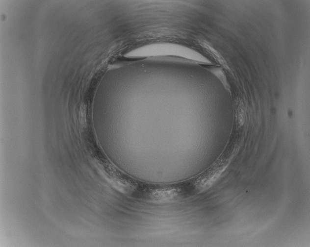 X0000076100213200610152351