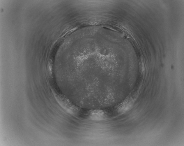 X0000076100214200610152351