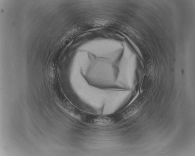 X0000076100215200610152351