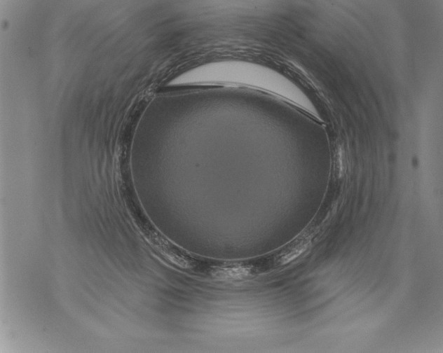 X0000076100217200610152351