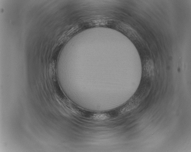 X0000076100218200610152351