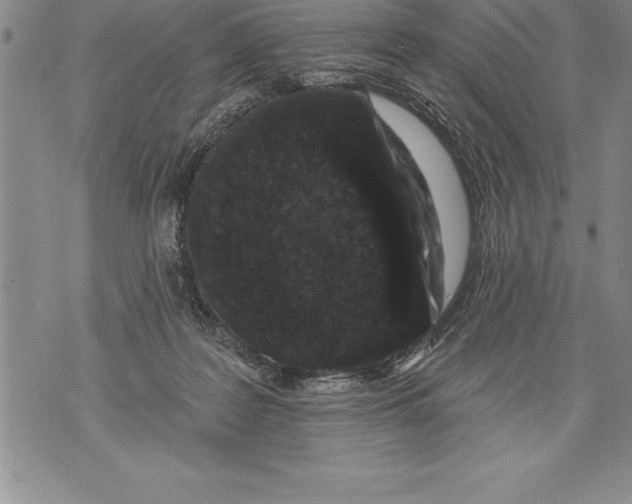 X0000076100219200610152351