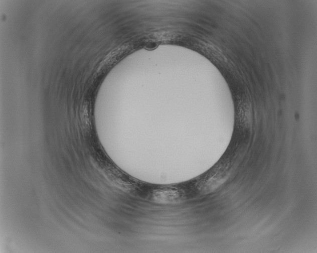 X0000076100220200610152351