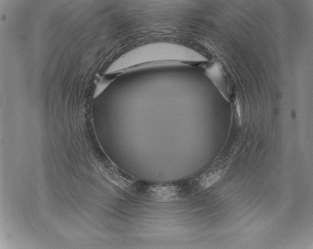 X0000076100221200610152351