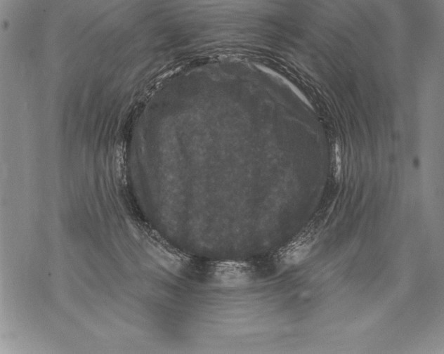 X0000076100222200610152351