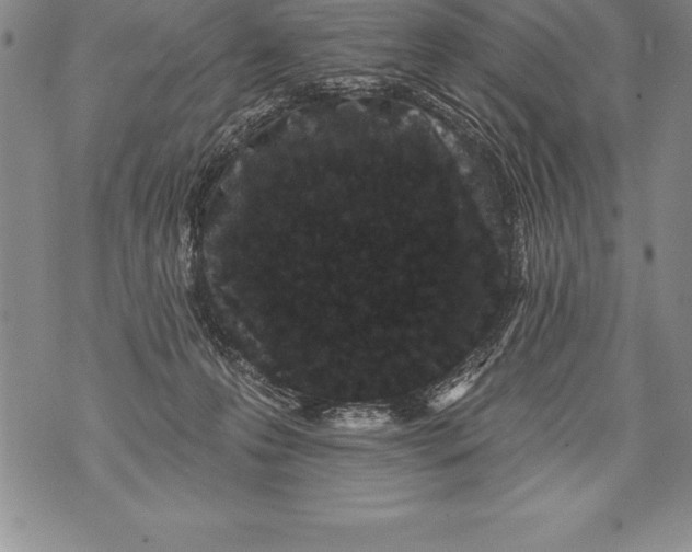 X0000076100223200610152351