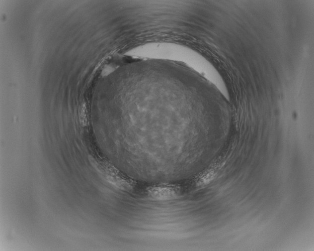 X0000076100224200610152351